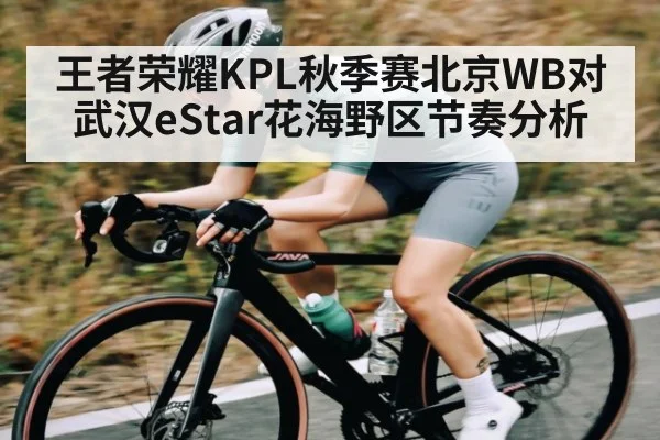 王者荣耀KPL秋季赛北京WB对武汉eStar花海野区节奏分析
